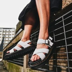 El Naturalista store -El Naturalista store image 35836e7c d9bf 4658 aeab dce5436305cb 2048x