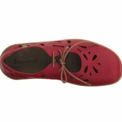 El Naturalista store -El Naturalista store image d3cc1a7b 347a 4157 9e9a 08efe1e9ca11 2048x