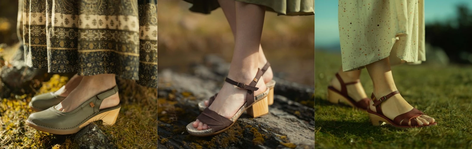 El Naturalista store -El Naturalista store 未命名 1